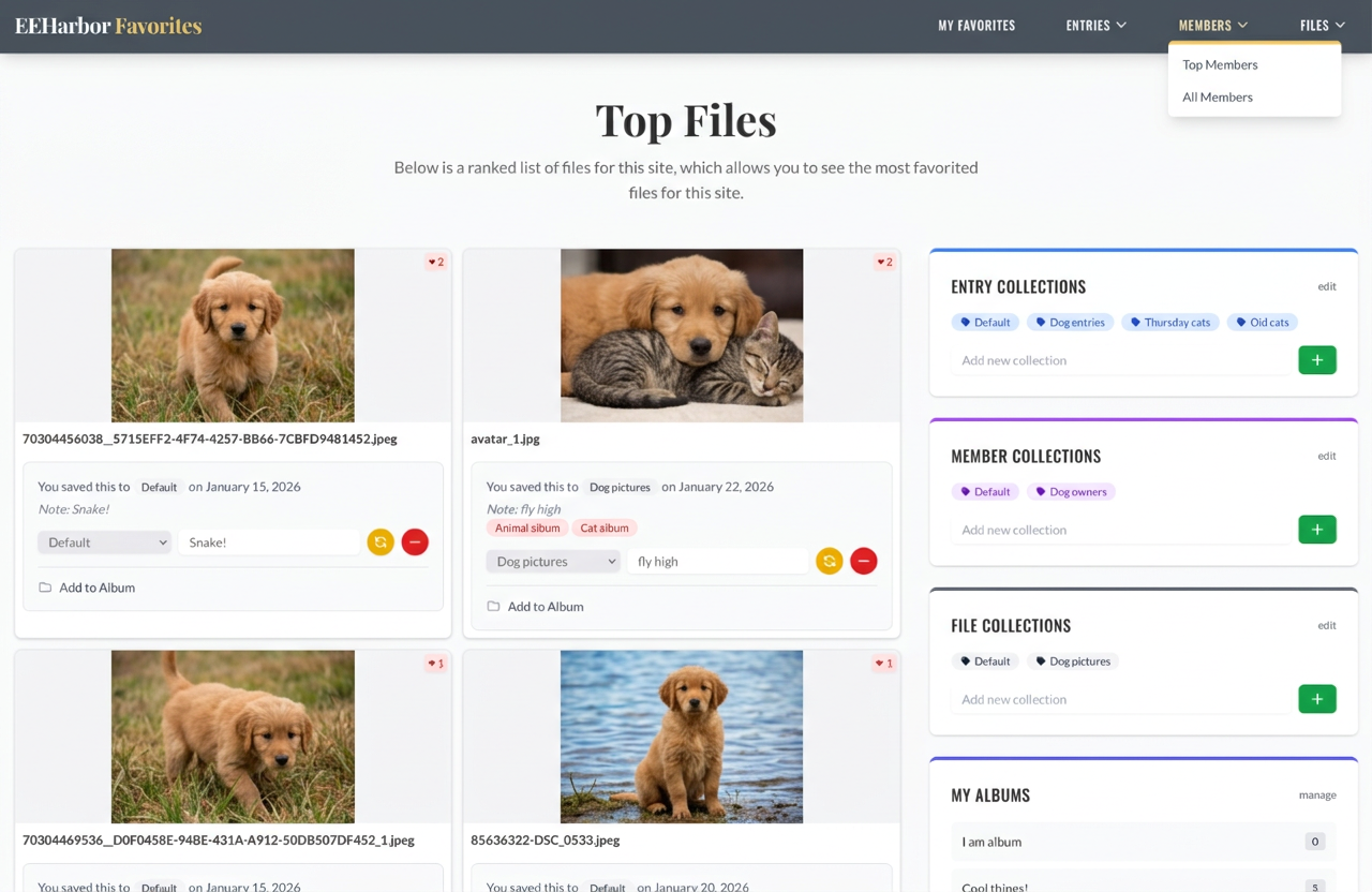 Favorites v7 Top Files view